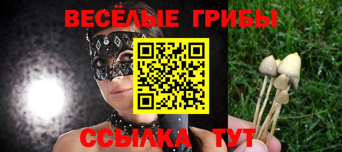 закладки  Галлюциногенные грибы мицелий  Псилоцибиновые грибы MAGIC MUSHROOMS  Вход с VPN  Бугульма 